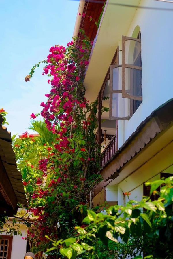 Garden Lodge Zanzibar Dış mekan fotoğraf